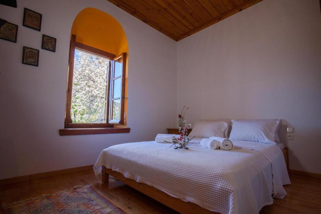 Eremia Rustic House - Entire Villa In Pelion Makrinítsa Zewnętrze zdjęcie