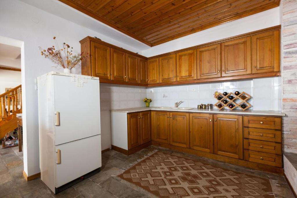 Eremia Rustic House - Entire Villa In Pelion Makrinítsa Zewnętrze zdjęcie