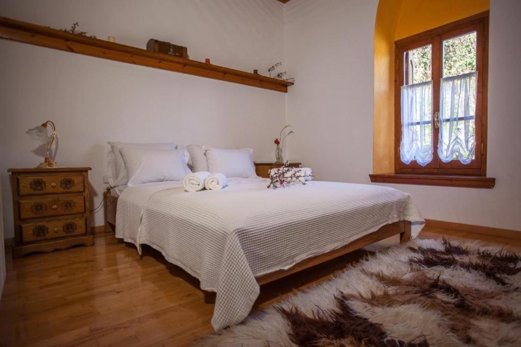 Eremia Rustic House - Entire Villa In Pelion Makrinítsa Zewnętrze zdjęcie